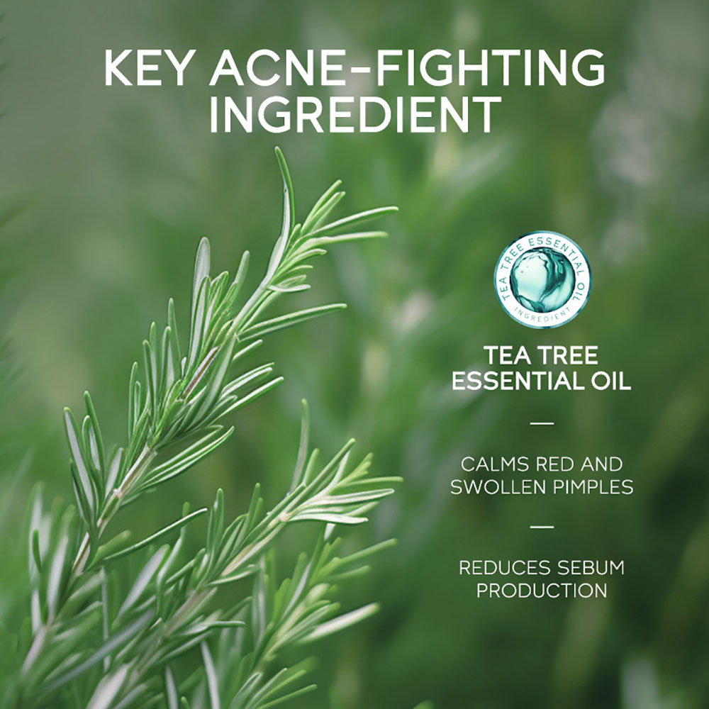 LAIKOU Tea Tree Acne Gel 15g,  - Tea Tree Spot Treatment ulasan dan harga