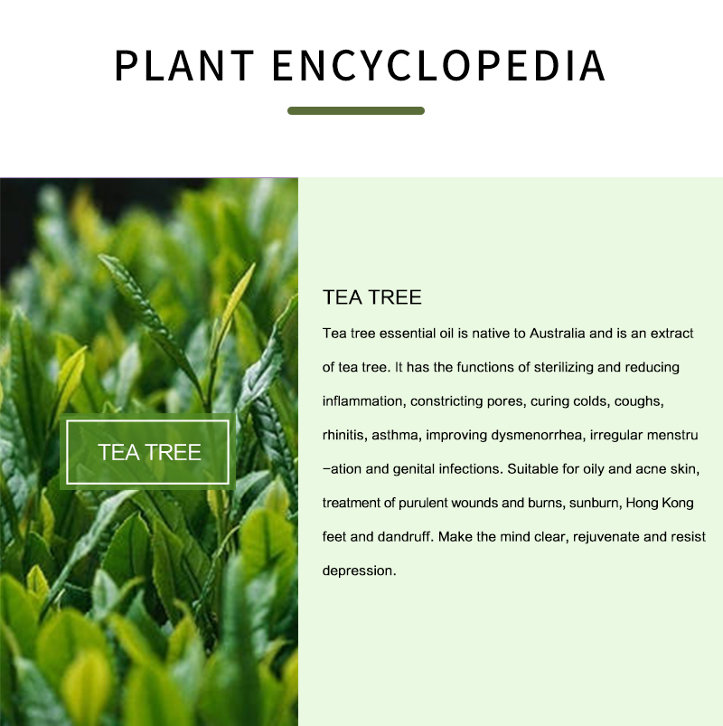 100% Pure Tea Tree Essential O - Tea Tree Spot Treatment ulasan dan harga